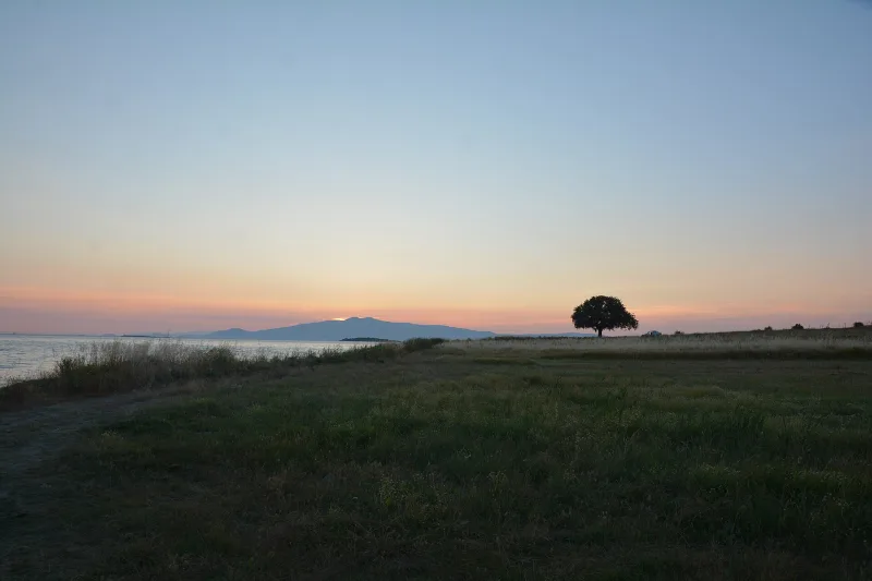 Gryneion (Gryneion) — het orakel van Apollo bij Aliağa, İzmir