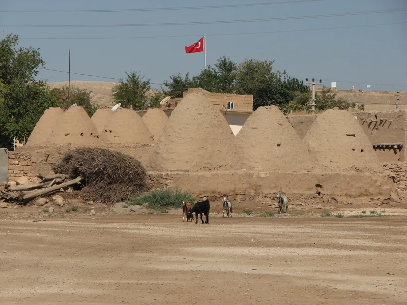 Harran: bijenkorfhuizen en de oude stad in Şanlıurfa — reisgids voor Zuidoost-Turkije