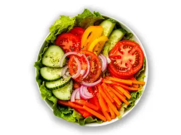 Vegetarisch