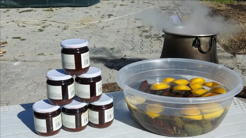 Ayvalık mieste pušų spurgai, kuriuos moterys 8 valandas verda malkų ugnyje, virsta sirupu