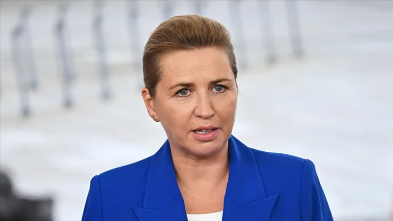 在丹麦总理弗雷德里克森赢得的选举中，将组建联合政府