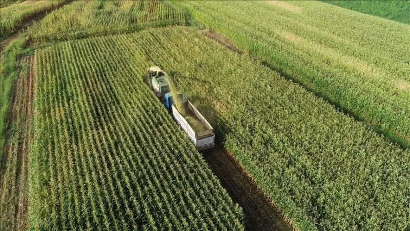 Es wurden Grundsätze für den Schutz und die Nutzung landwirtschaftlicher Flächen festgelegt