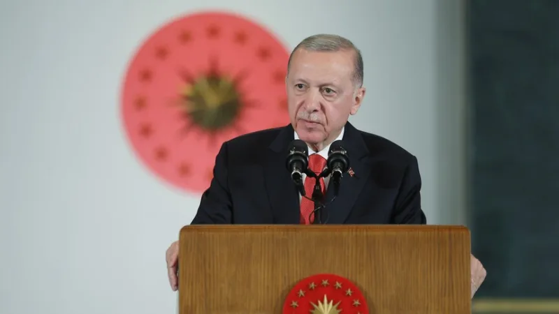 Präsident Erdoğans Bemühungen um Friedensdiplomatie