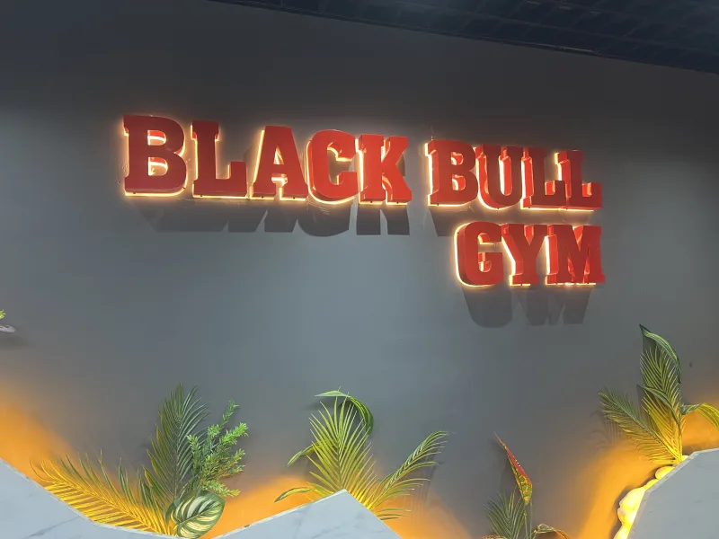 Black Bull Pro GYM — Kuntosali Alanyassa: Online-tilaus, hinnat ja arvostelut