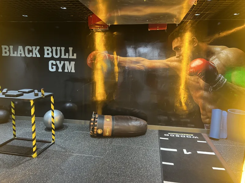 Black Bull Pro GYM — Kuntosali Alanyassa: Online-tilaus, hinnat ja arvostelut