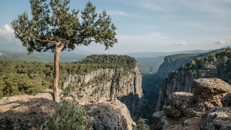 Two in One: Picturesque Tazy Canyon and Fun Rafting