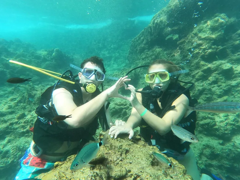 Sea Diving: Secrets of the Underwater World